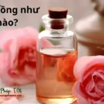 Mùi hoa hồng như thế nào