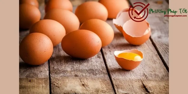 Gà công nghiệp đẻ trứng như thế nào