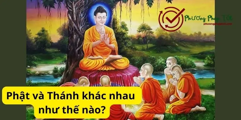 Phật và Thánh khác nhau như thế nào